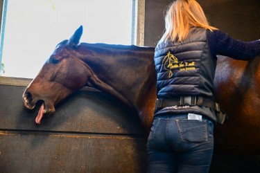 Isolde Van t Velt sfeerfoto