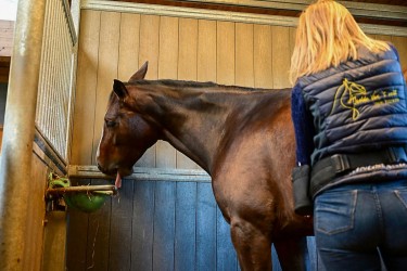 Isolde Van t Velt sfeerfoto