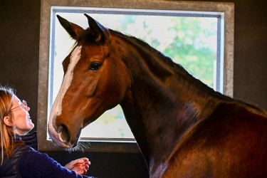 Isolde Van t Velt sfeerfoto