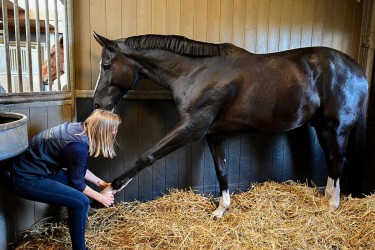 Isolde Van t Velt sfeerfoto
