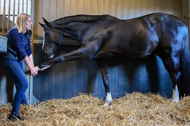 Isolde Van t Velt sfeerfoto