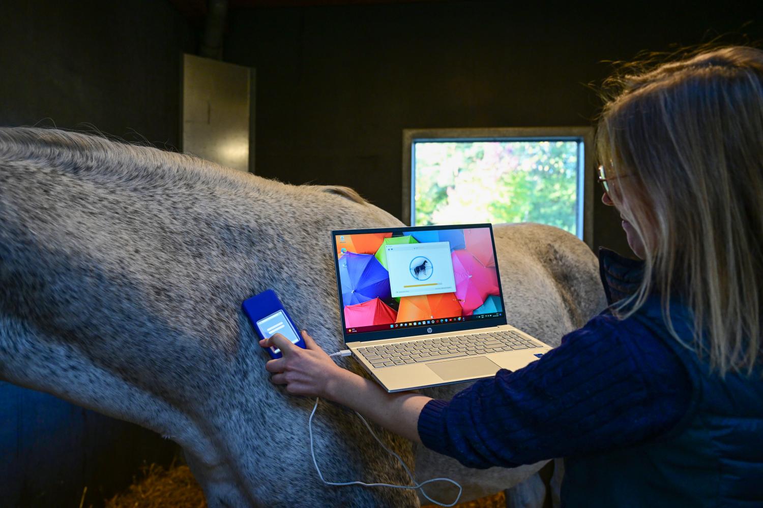 Voor het mentale en fysieke welzijn van uw paard